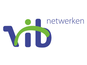 Logo van het bedrijf VIB Netwerken.